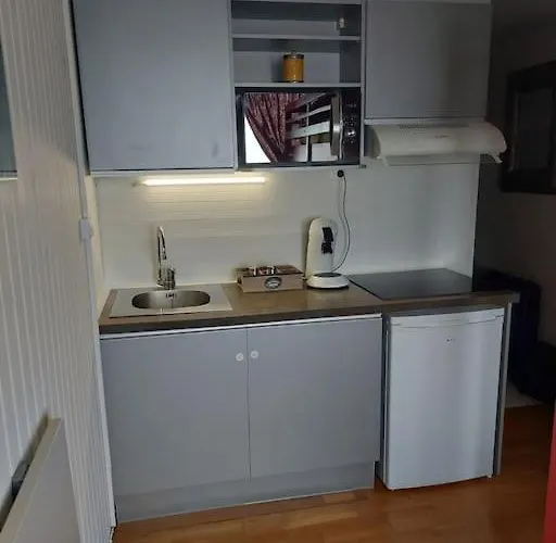 Lägenhet Cosy A La Station Eaux-Bonnes